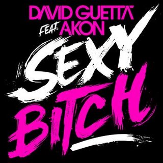 David Guetta & Akon - Sexy Bitch